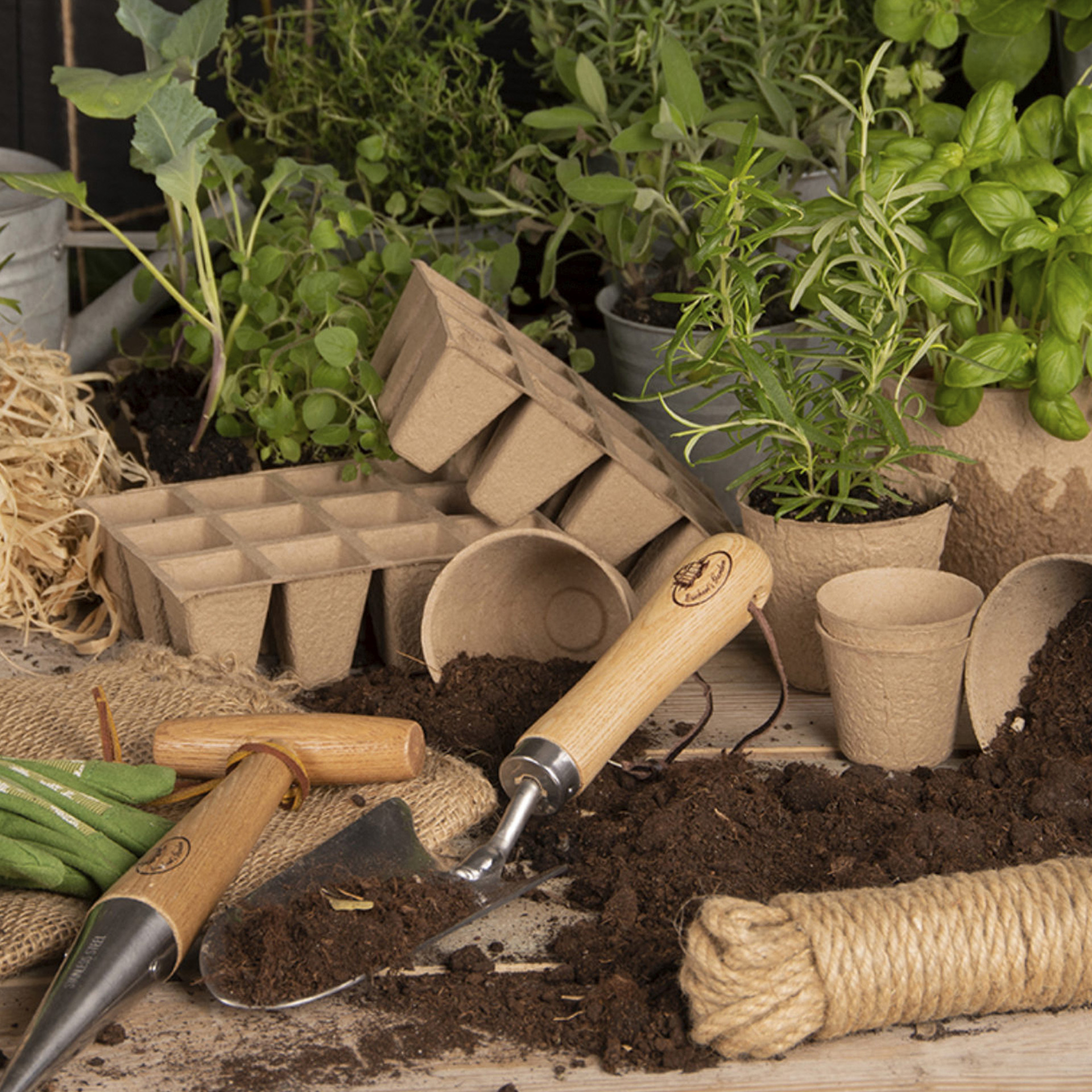braune anzuchttöpfe gartenwerkzeug