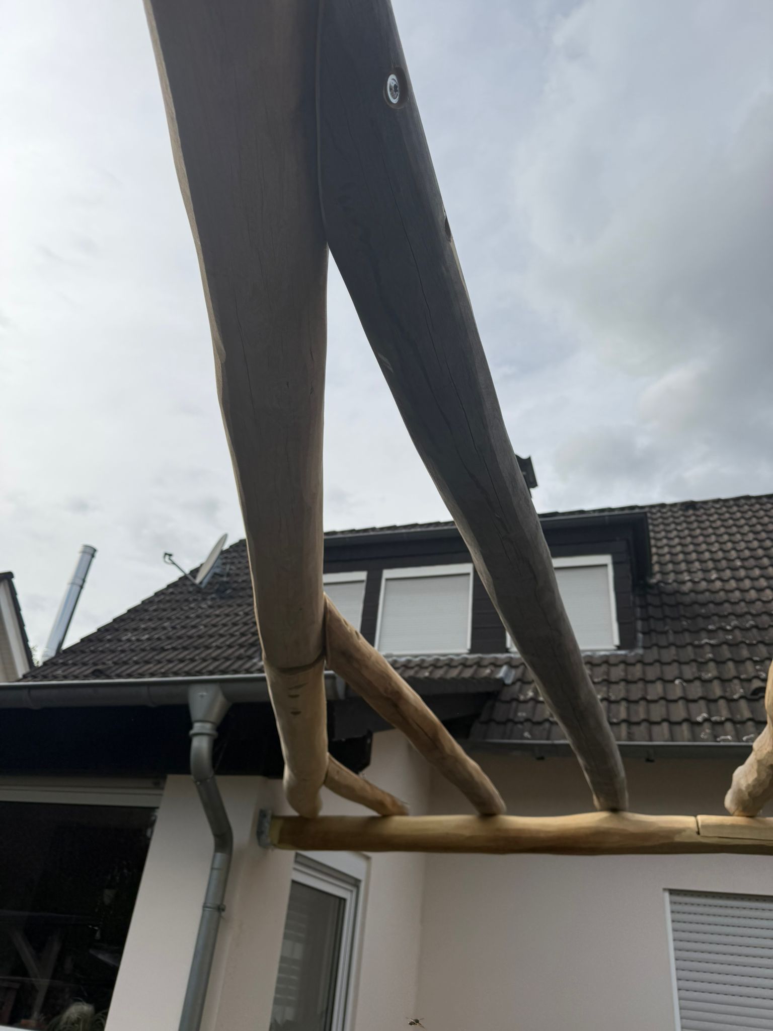 Pergola aus Robinienholz im Garten