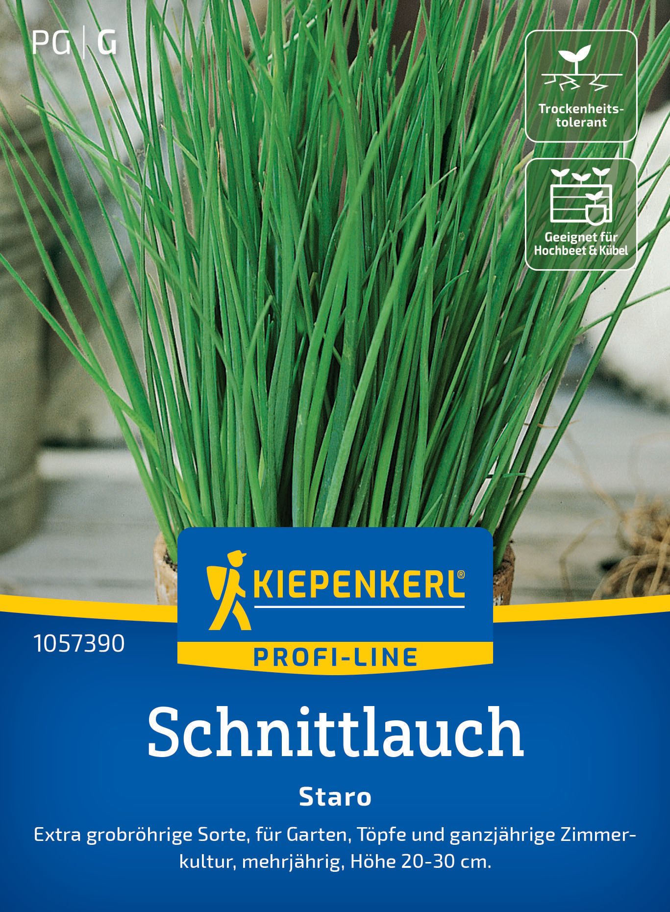 Schnittlauch Staro Schnittlauch Staro