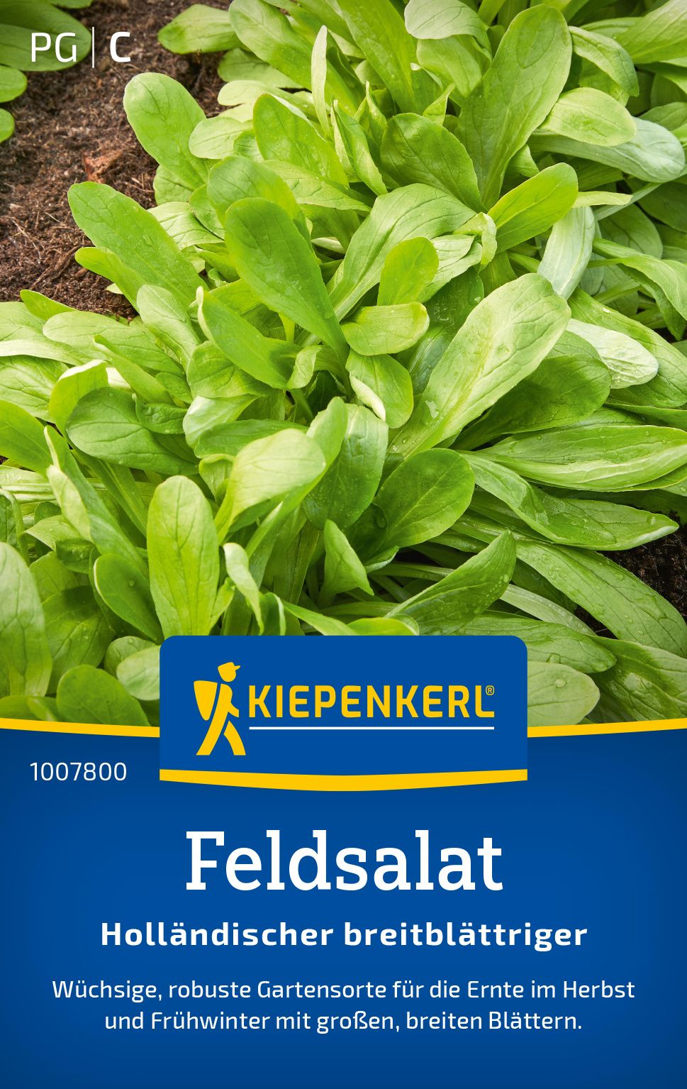 Feldsalat Holländischer breitblättriger, Gemüsesamen Pflanze, Essen, Produzieren, Grünes Blattgemüse, Werbung