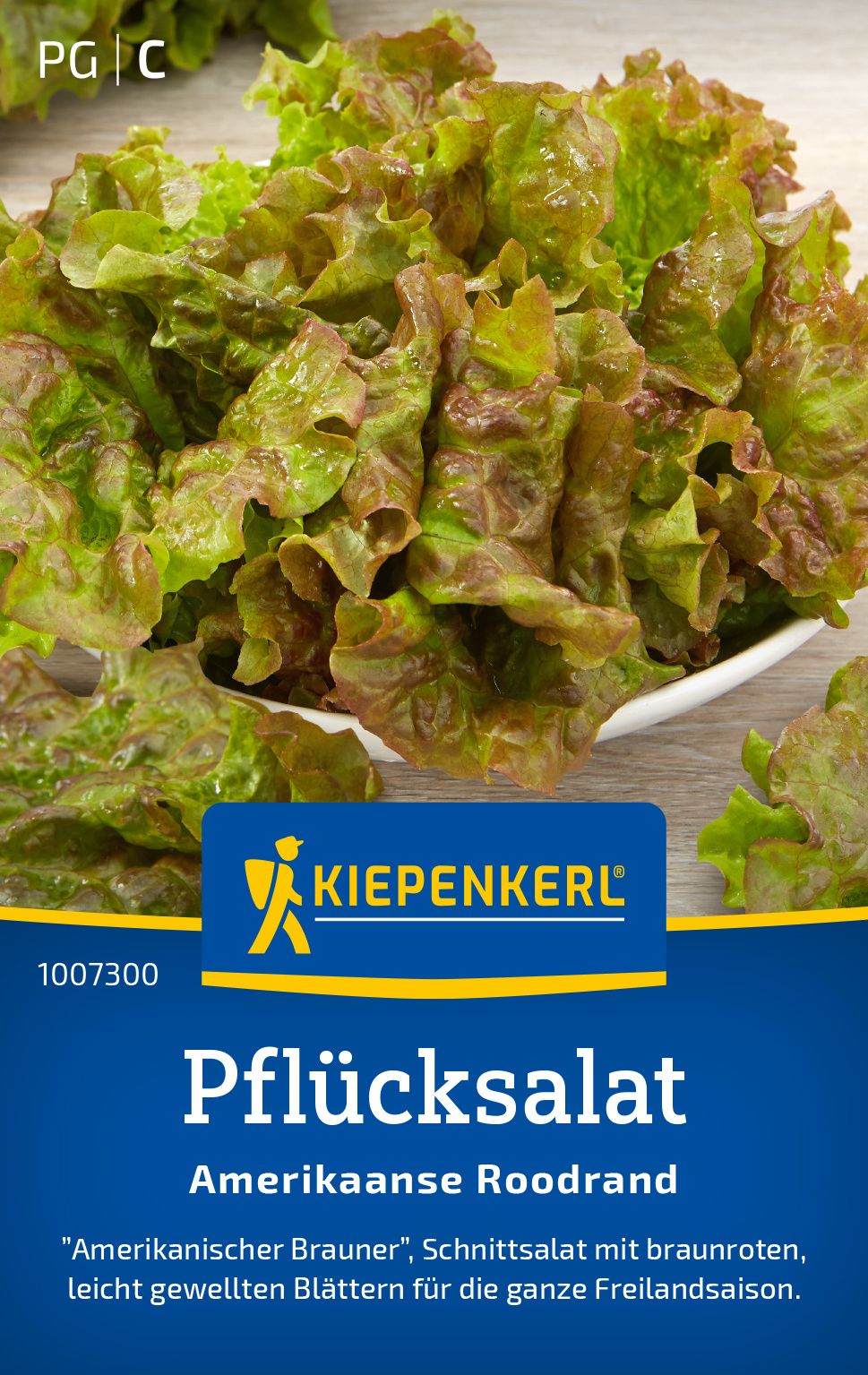 Pflücksalat Amerikaanse Roodrand, Gemüsesamen Essen, Kopfsalat, Produzieren, Werbung, Plakat