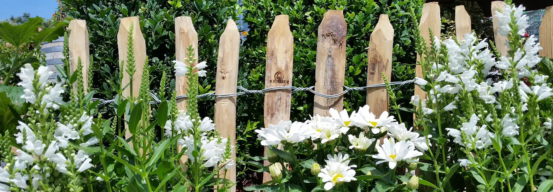 Staketenzaun mit Blumen