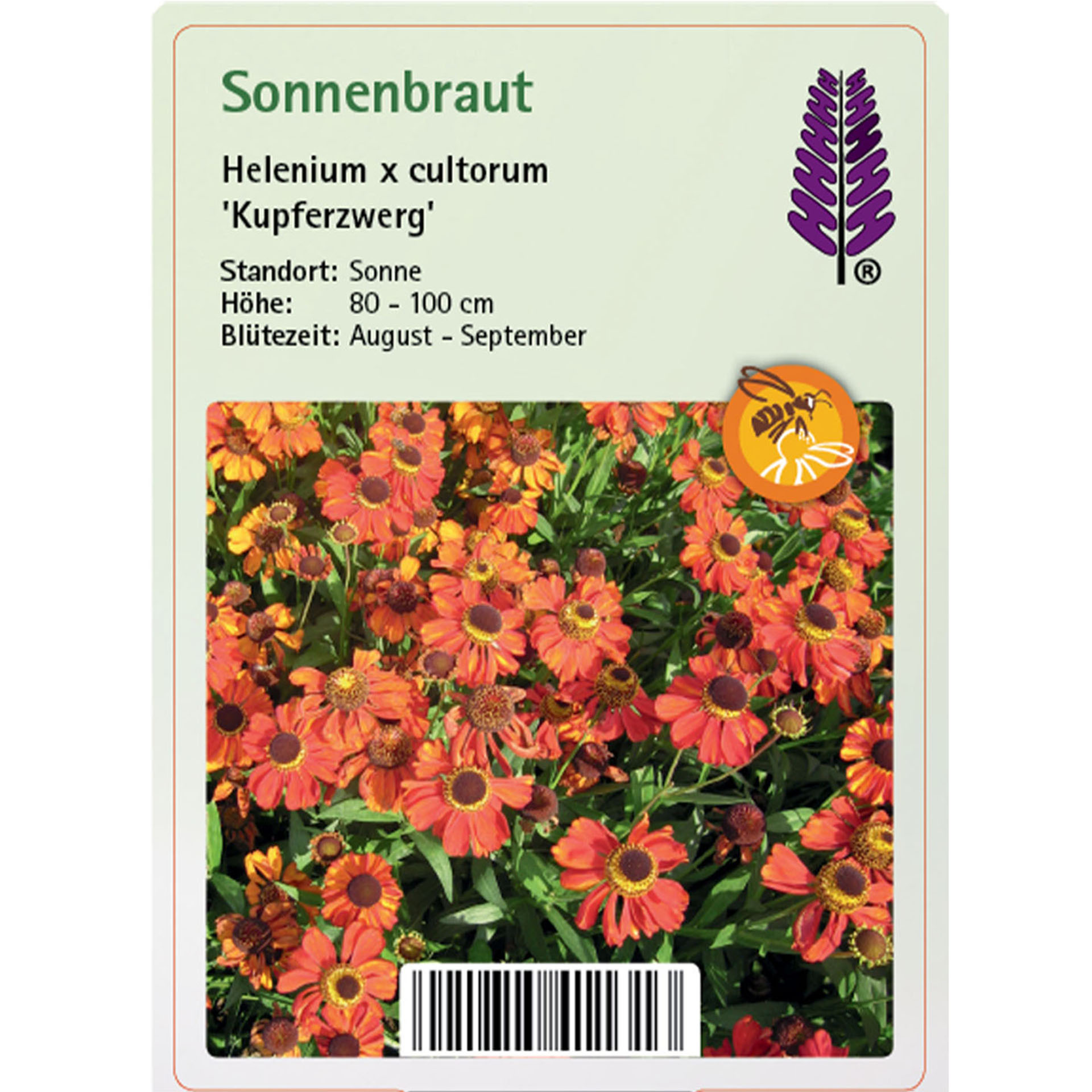 Pflanzenstecker mizt Infos und orangen Blüten