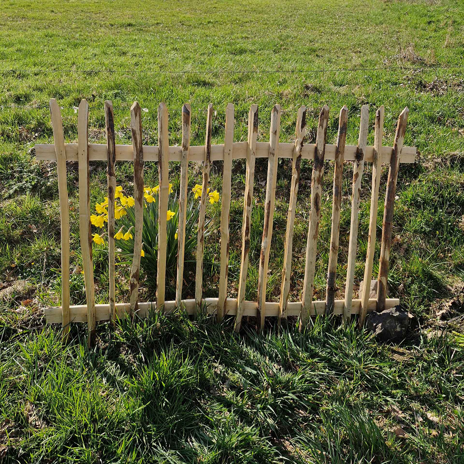 Zaunelement aus spitzen Staketen auf Wiese