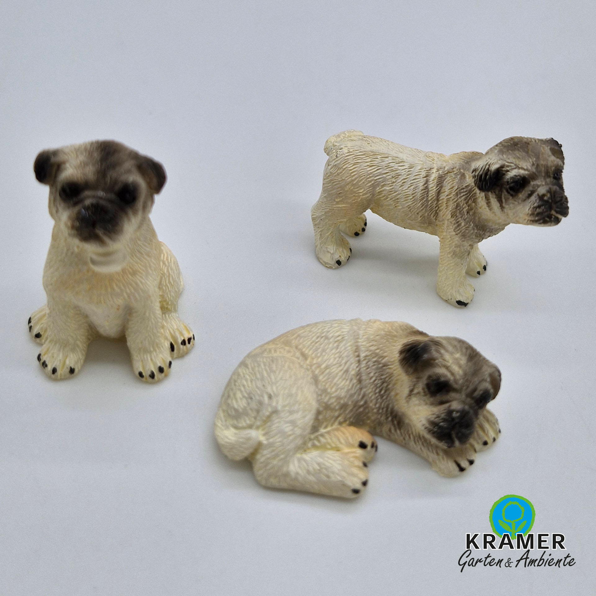 Tier, Hund, Säugetier, Haustier, Bär, Tier, Hund, Säugetier, Haustier