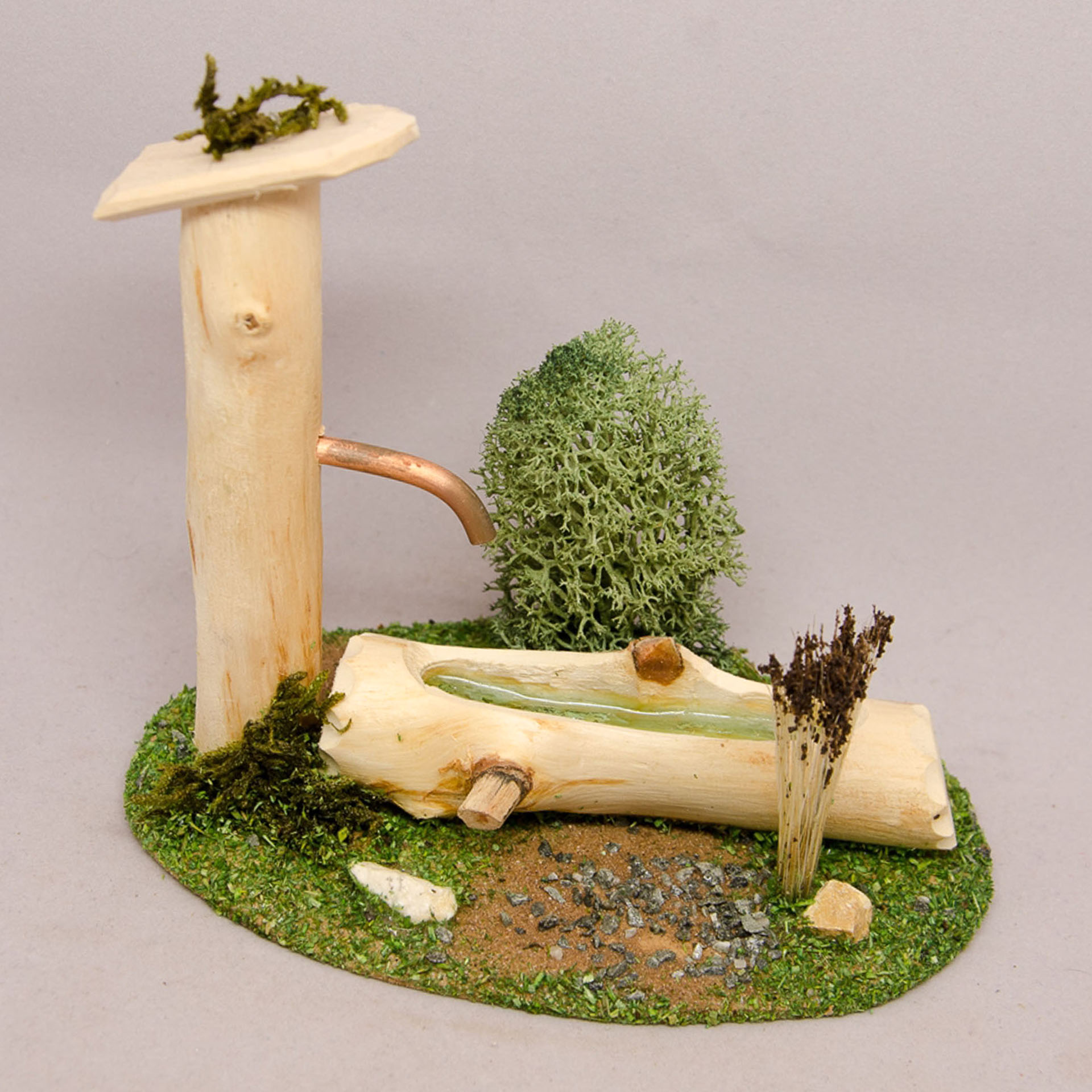 Pflanze, Pflanze im Topf, Holz, Pflanze, Baum, Moos