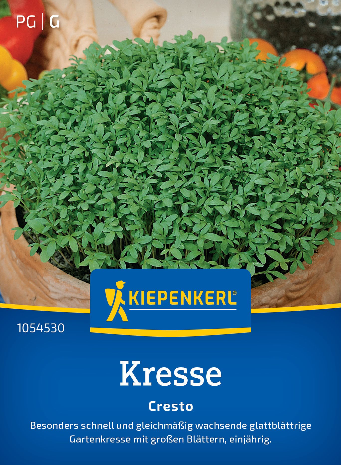 Kresse Cresto, Kräutersamen Kräuterig, Kräuter, Pflanze, Bewuchs, Werbung