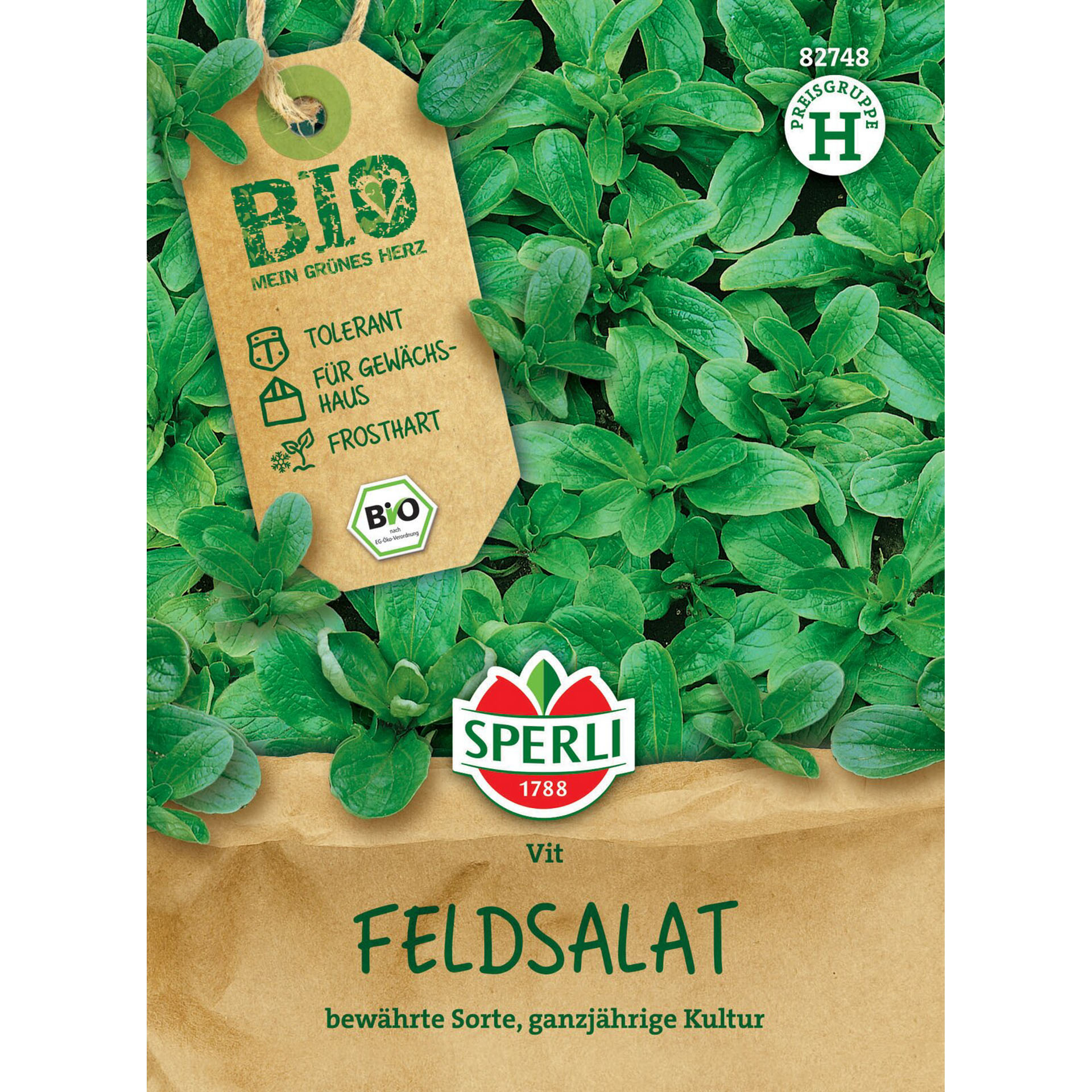 BIO Feldsalat 'Vit', Gemüesamen Kräuterig, Kräuter, Pflanze