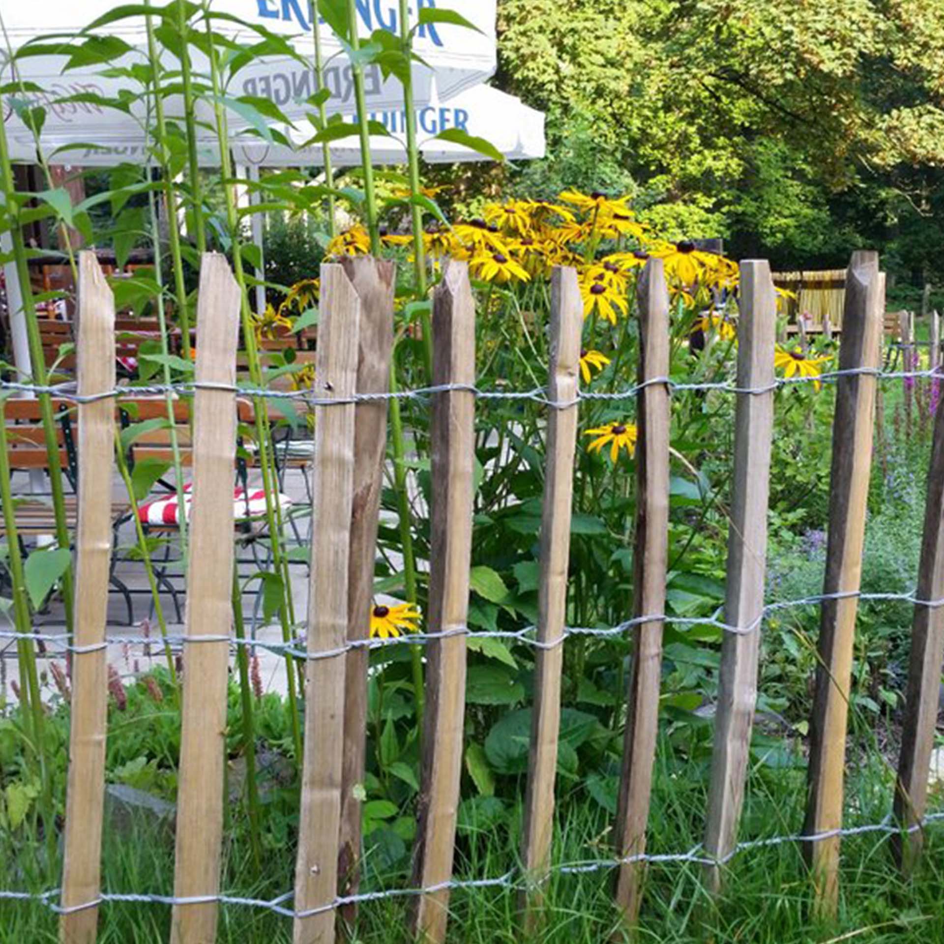 Staketenzaun, gelb blühende blumen, tisch und stühleZaun, Holzzaun, Drahtbarriere, Garten, Blumen, Holzzaun, Spalierzaun, Barriere, Stacheldraht, Gelbblühende Blumen
