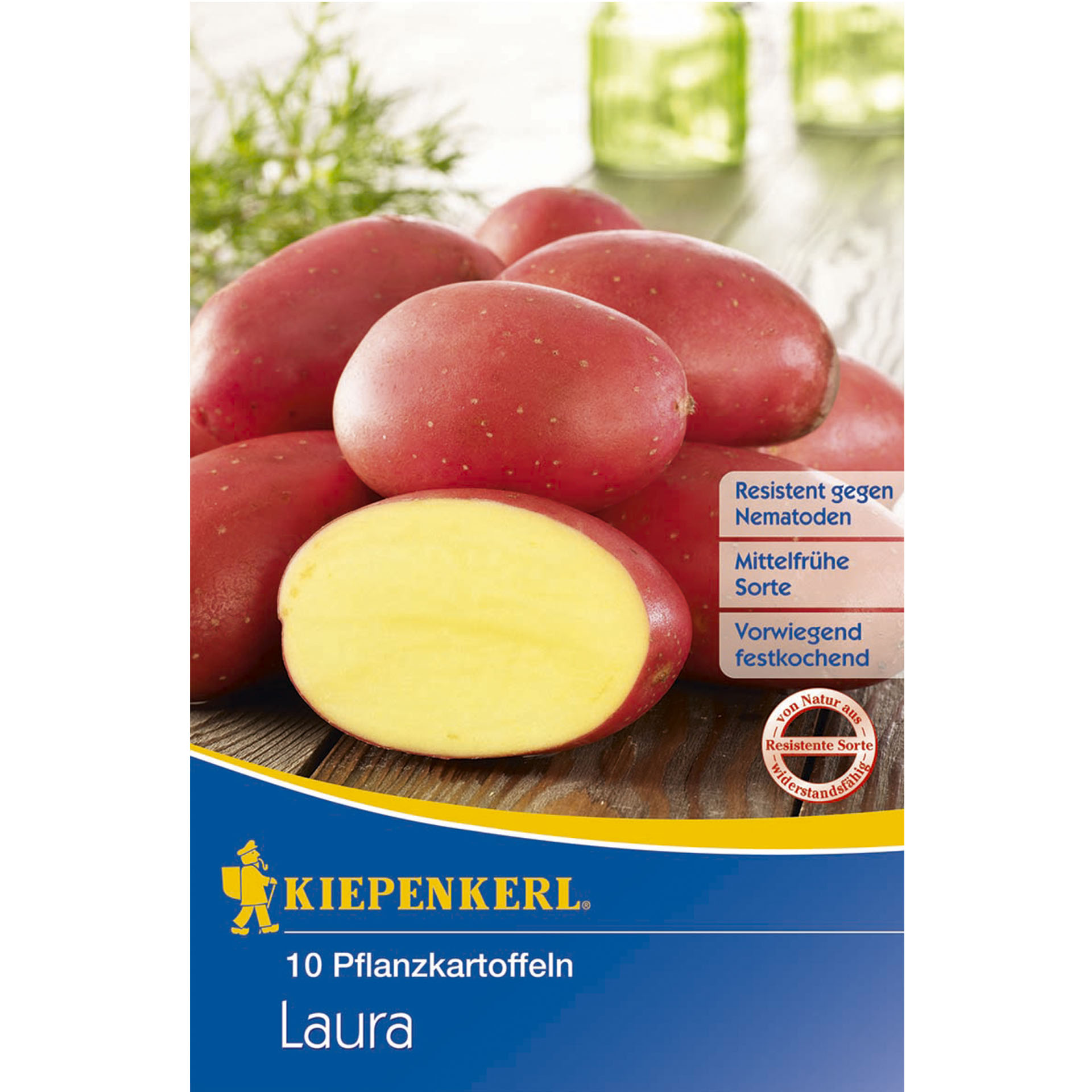 Saatkartoffeln Laura im Beutel mit Pappdeckel