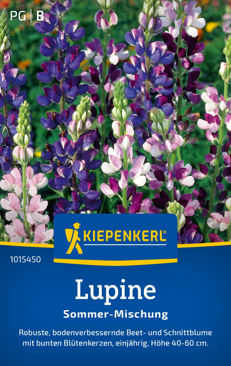 Lupine Sommer Mischung Lupine Sommer Mischung