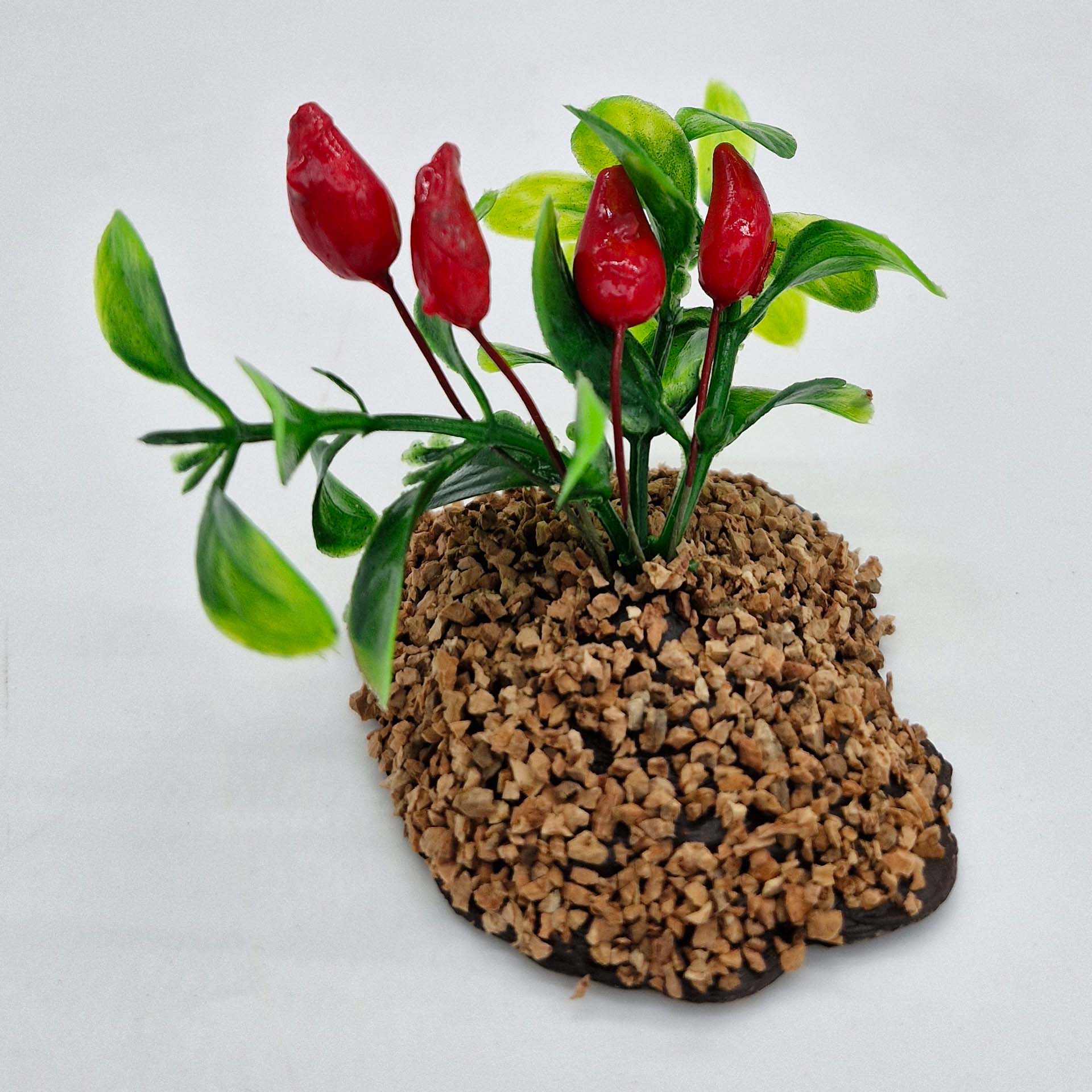 Paprika-Busch Essen, Präsentation des Essens, Pflanze, Blatt, Blume