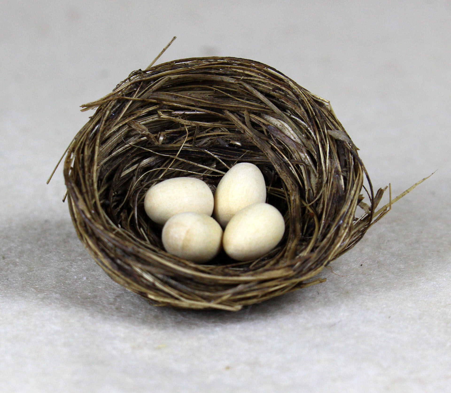 Nest mit 4 Eiern