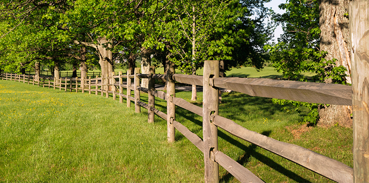 Zaun, Holzzaun, Landschaft, Gras, Garten