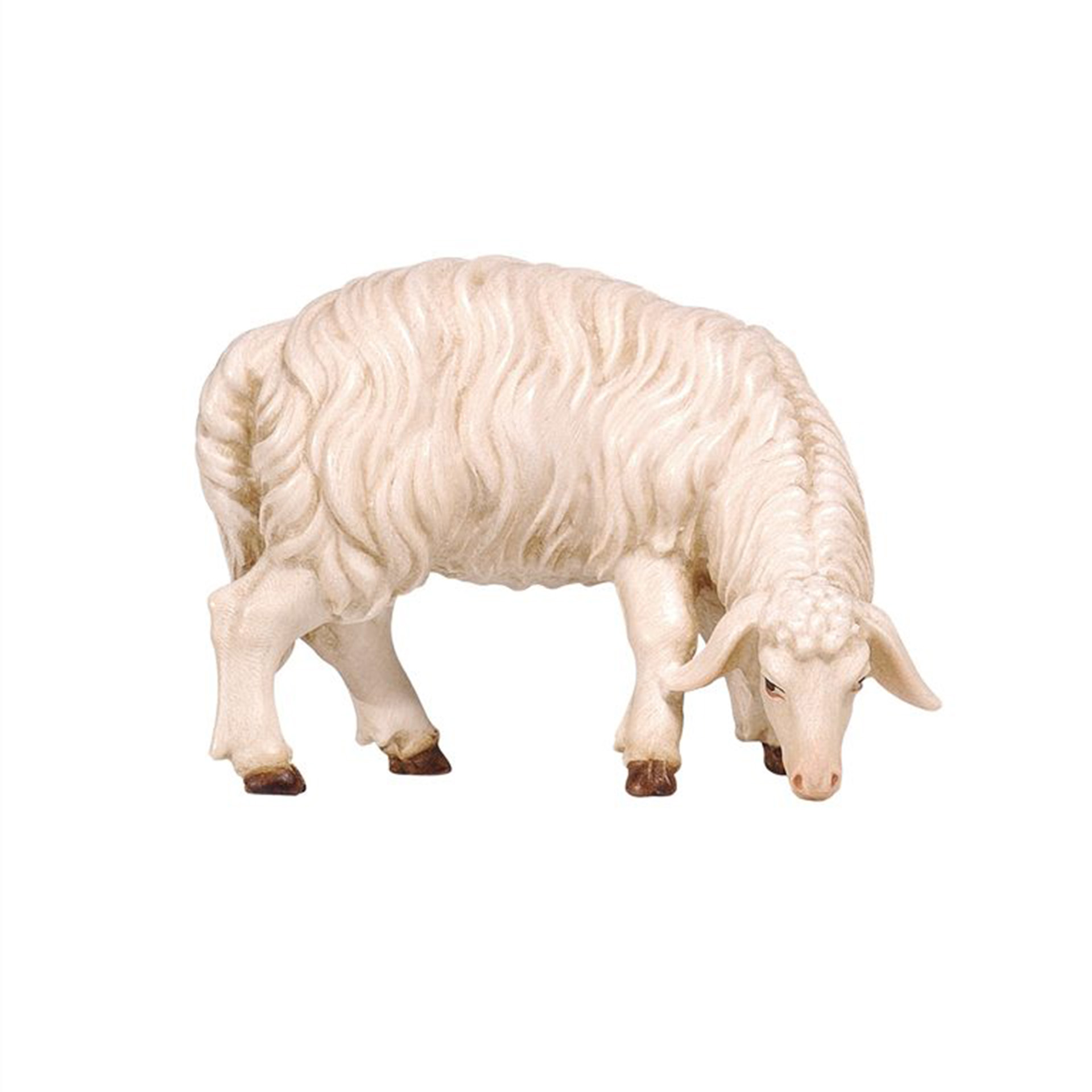 Tier, Vieh, Säugetier, Schaf, Schwein