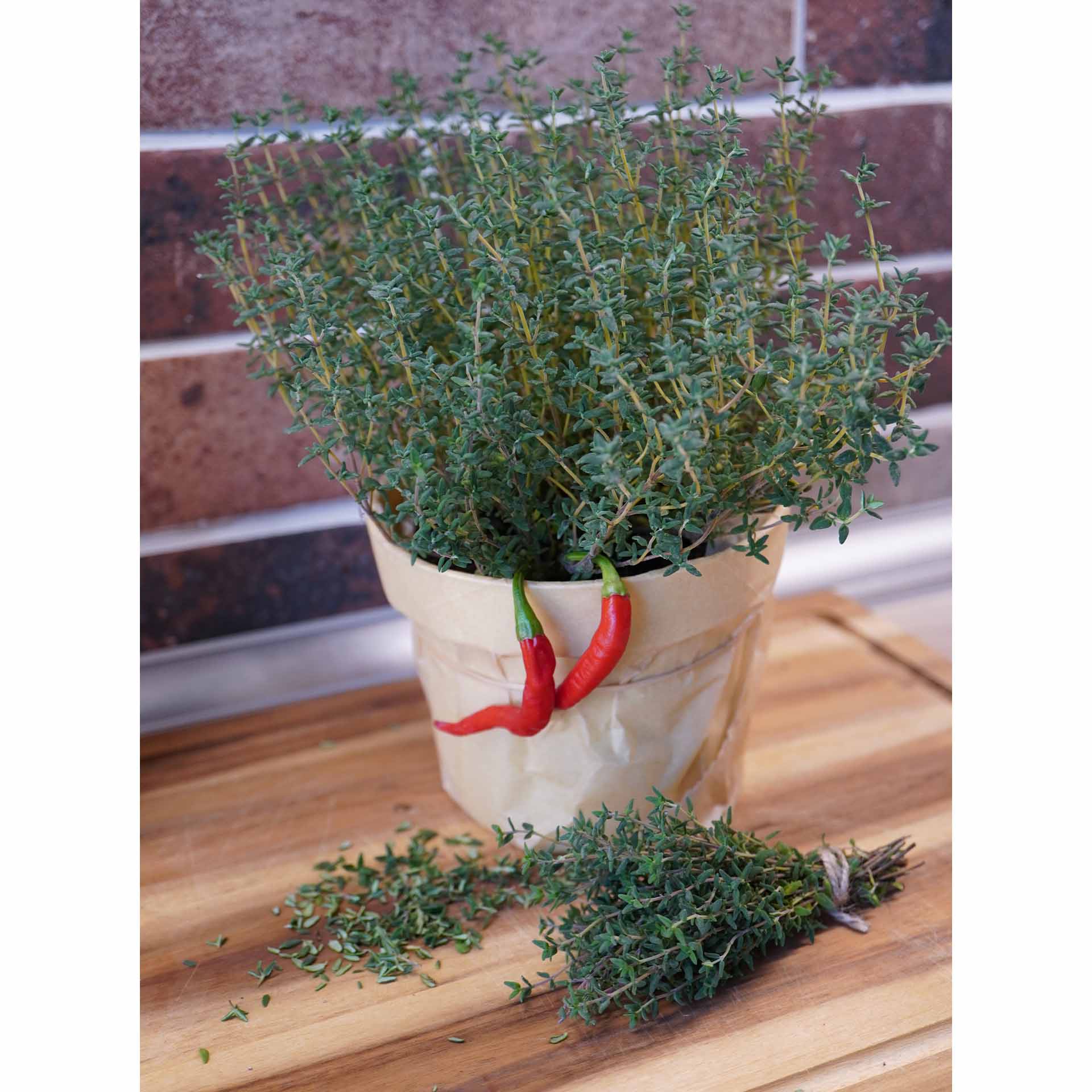 küchenkraut im topf auf holzplatte, gehacktes kraut, büschel kraut