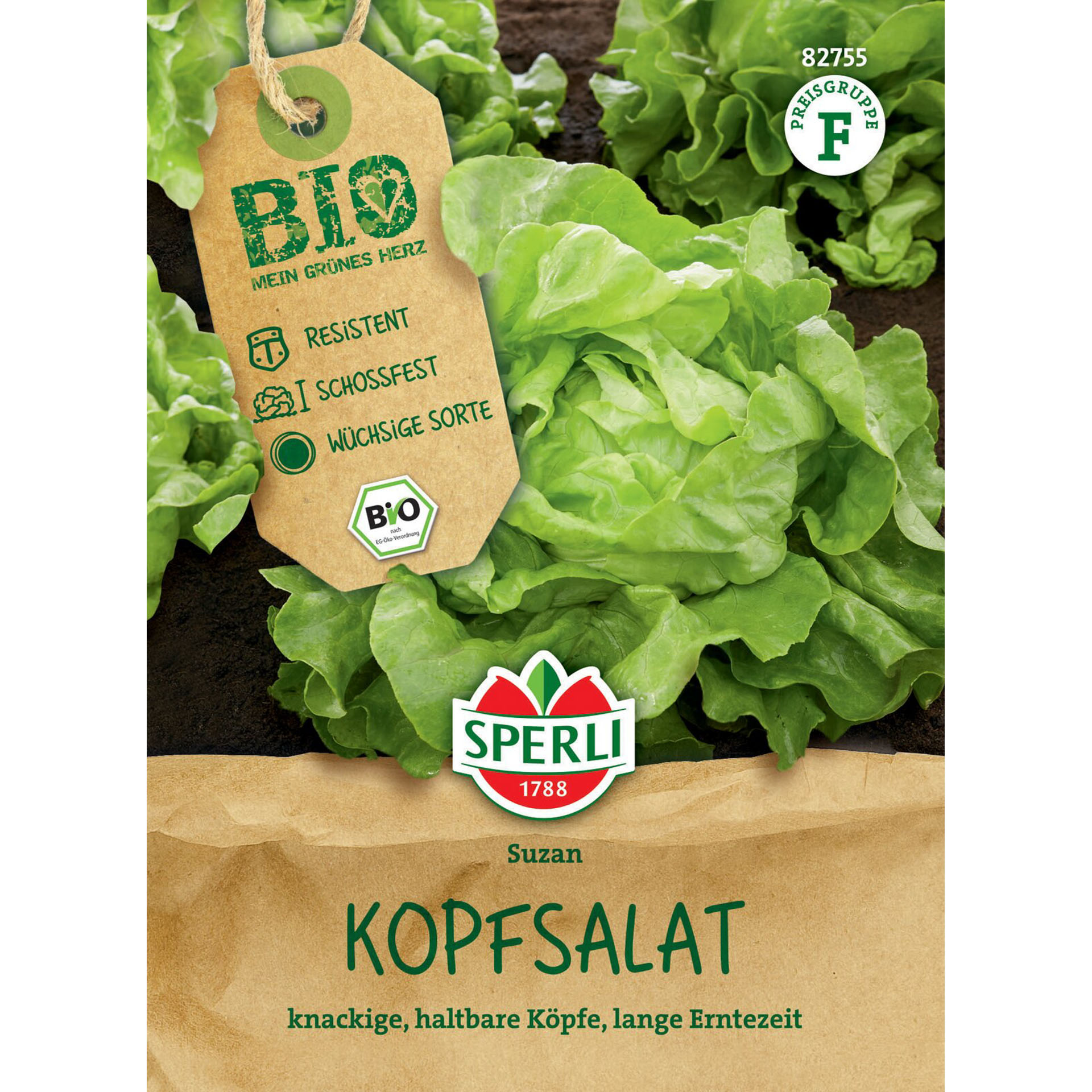 BIO Kopfsalat 'Suzan', Gemüsesamen Essen, Produzieren, Kopfsalat, Pflanze, Gemüse