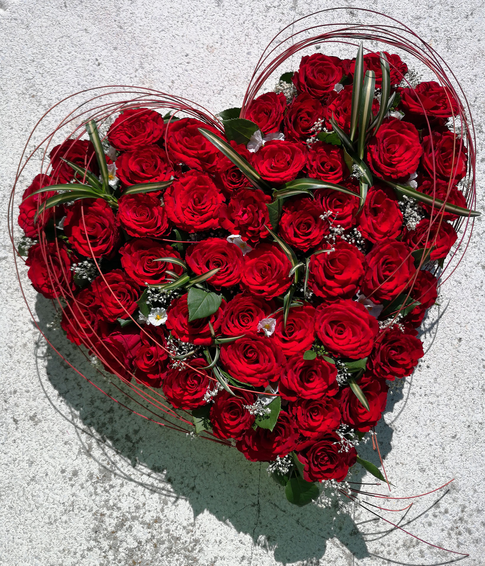 Rosenherz