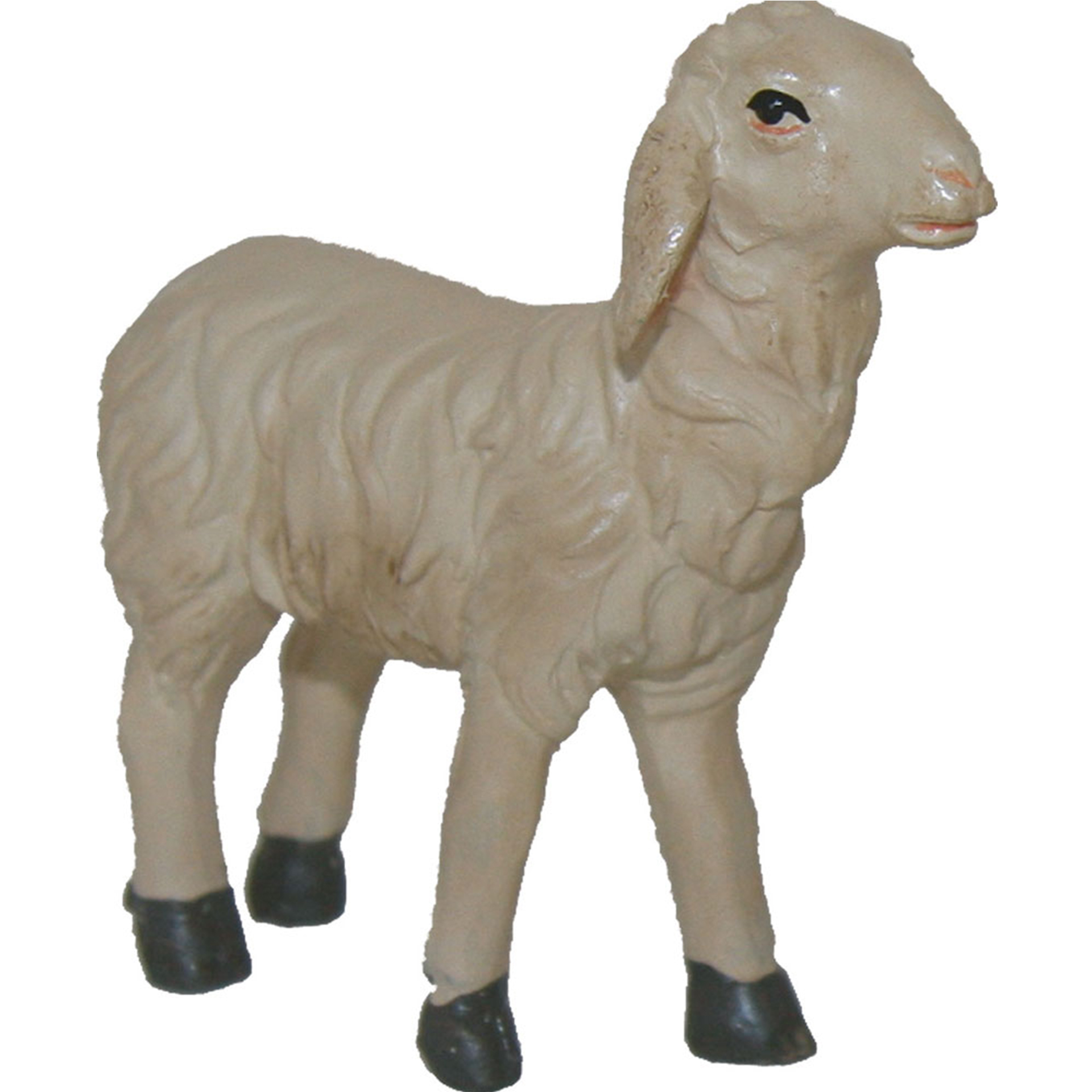 Schaf gerade schauend Schaf gerade schauend Krippenfigur Tierfigur