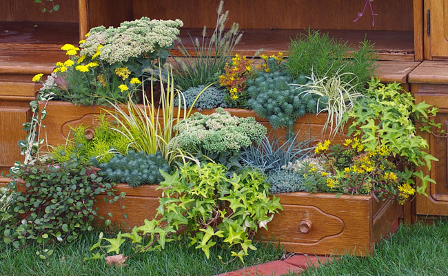 Topfpflanze, Pflanzgefäß, Töpferei, Vase, Garten