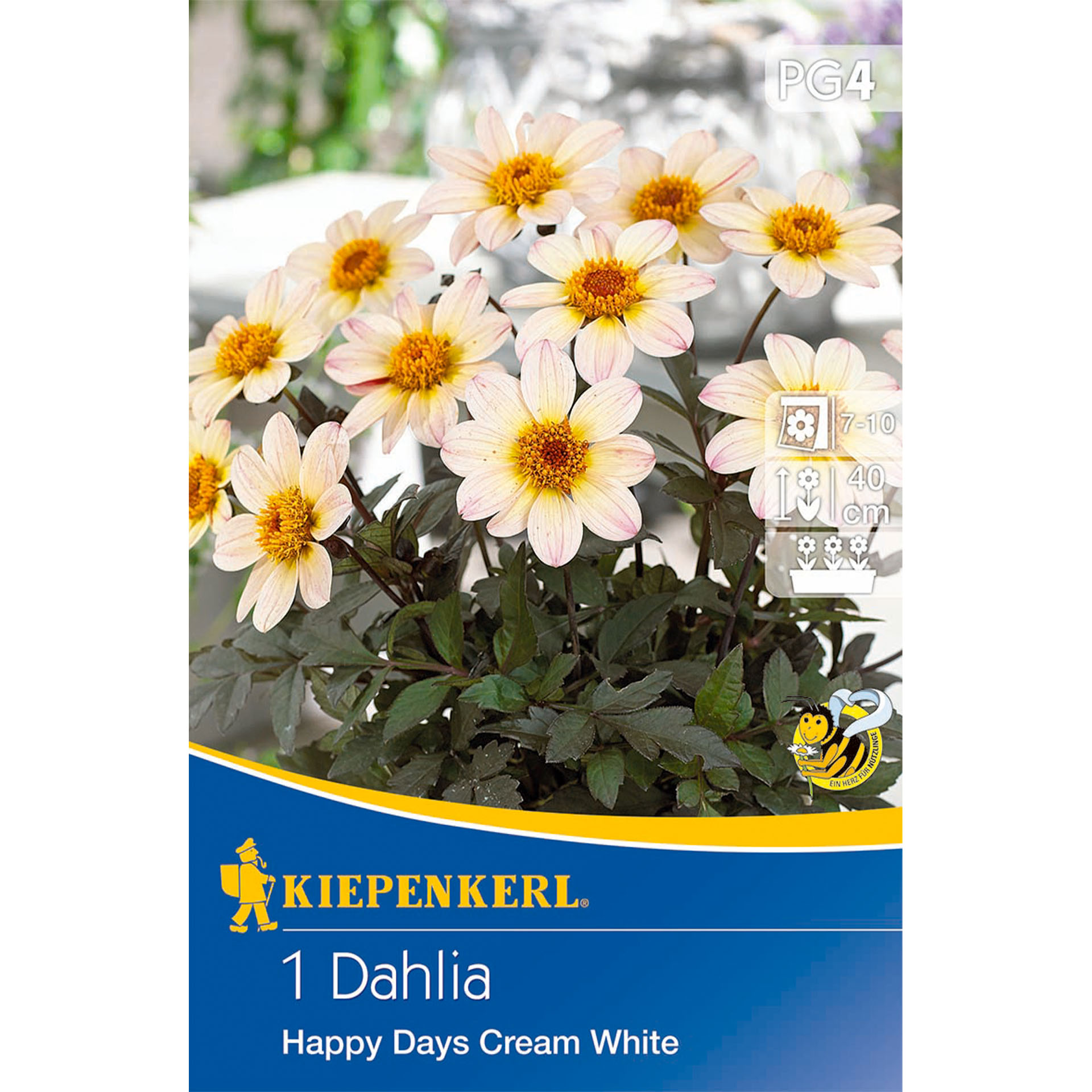 Blume, Pflanze, Gänseblümchen, Werbung, Plakat