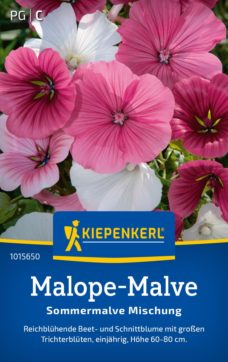 Malope-Malve Sommermalve Mischung Werbung, Plakat, Blume, Geranie, Blütenblatt
