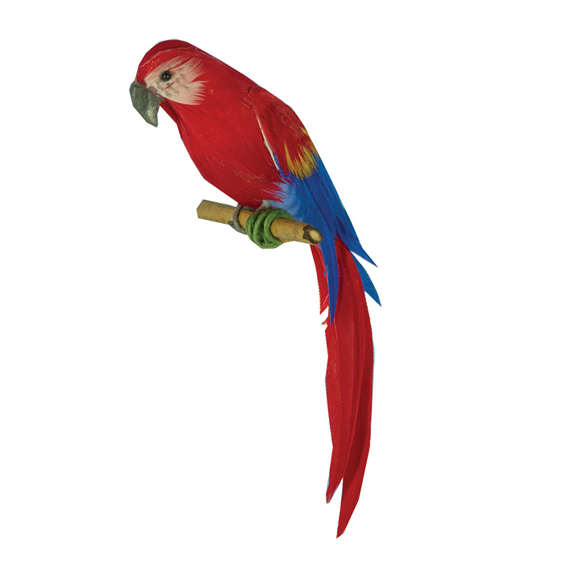 Papagei Wichtelzubehör