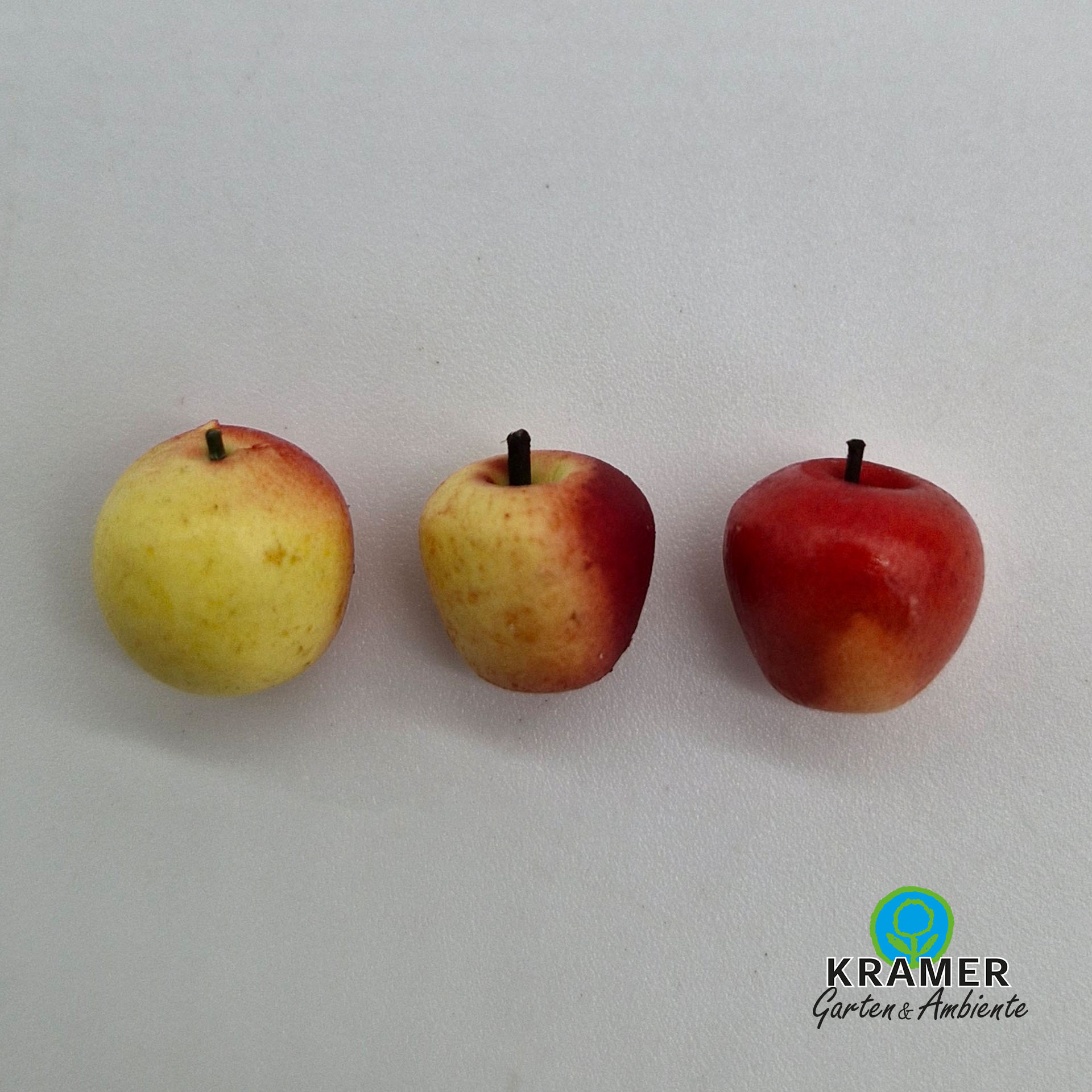 apfel mit grüner und roter Seite