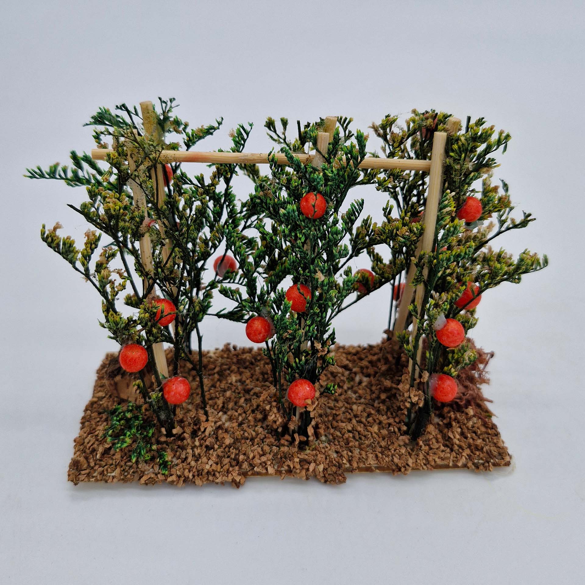 Tomatenbeet Pflanze