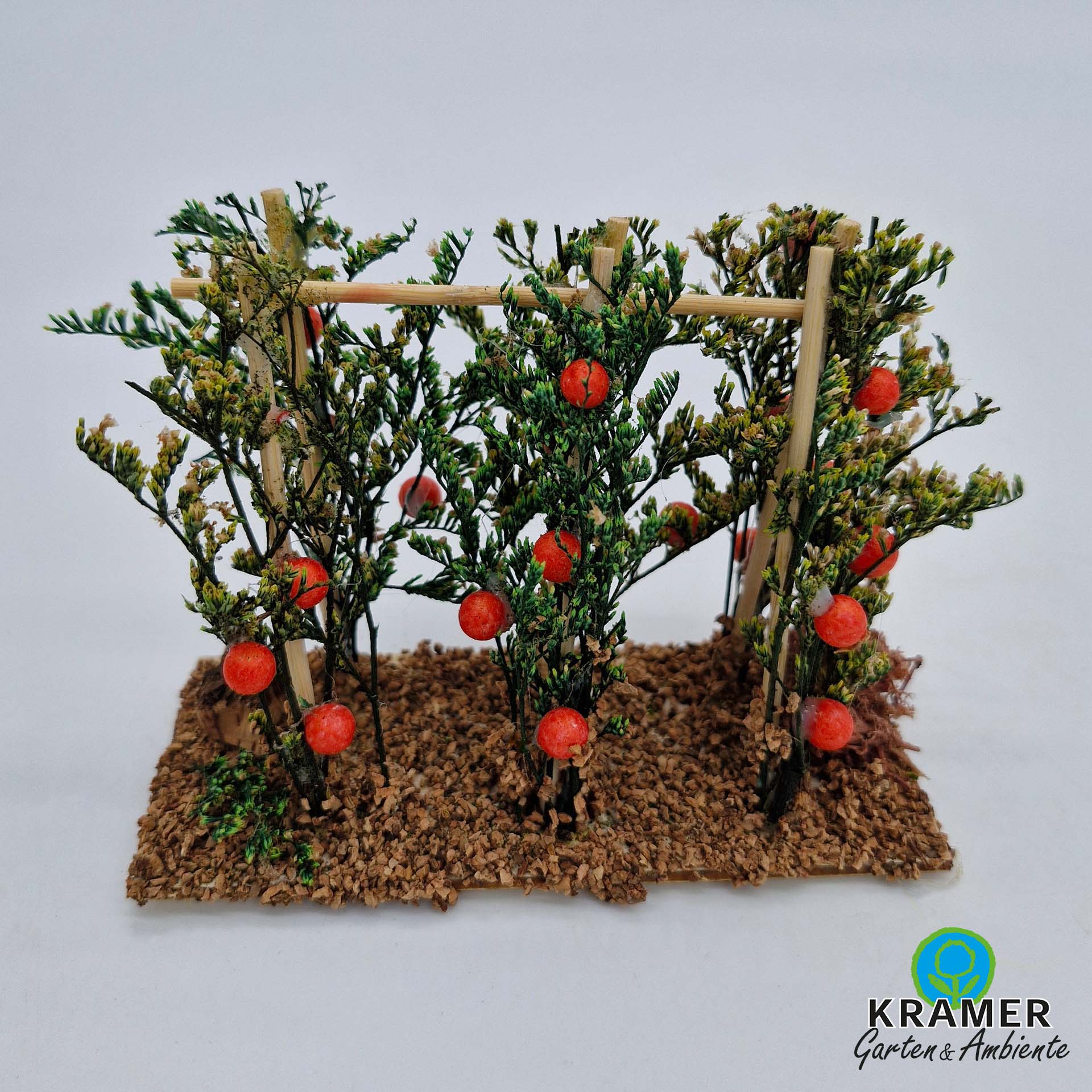 Pflanze, Pflanze, Baum