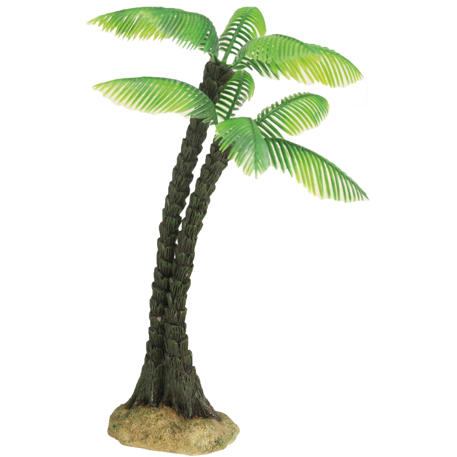 Palme, Pflanze, Baum, Palme, Pflanze, Baum