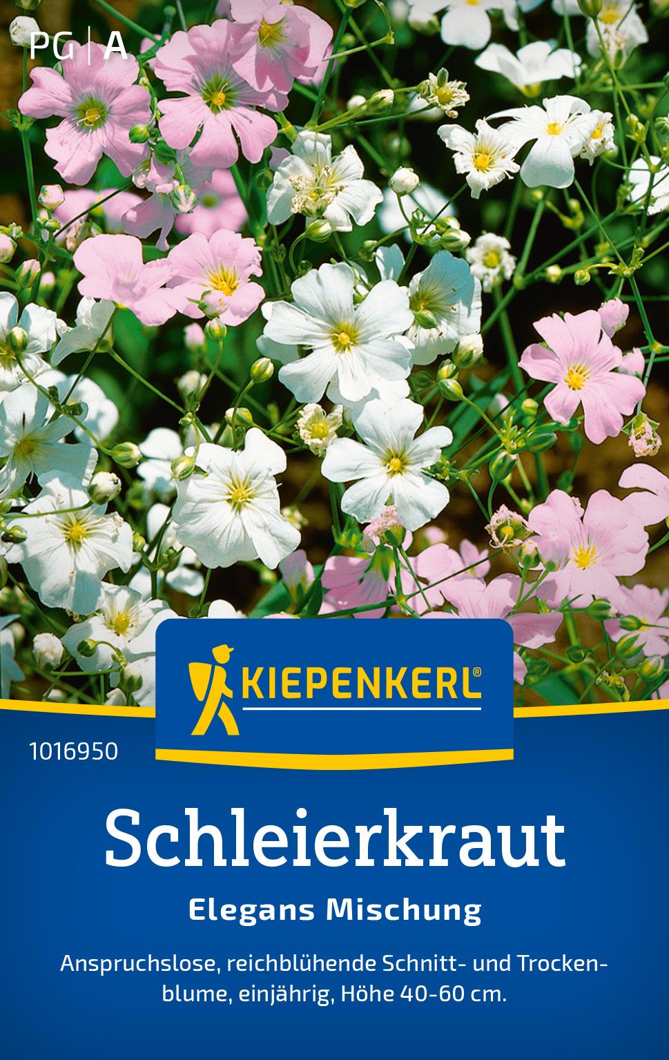 Schleierkraut Elegans Mischung PG-A Werbung, Plakat, Blume, Pflanze, Blütenblatt