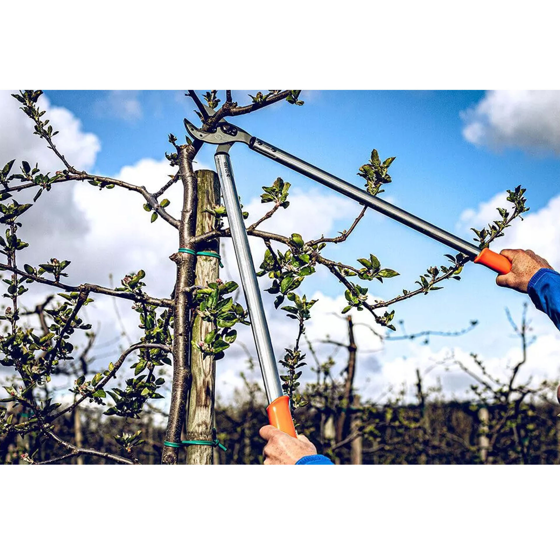 Amboss-Astschere Professional 22.080-3 astschere beim baum schneiden