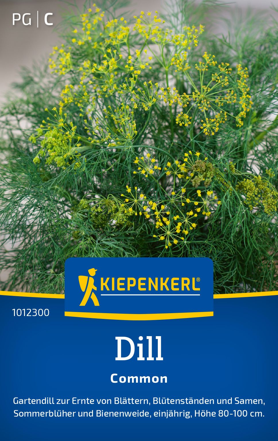 Dill Common PG-C Würzen, Werbung, Plakat, Pflanze, Dill