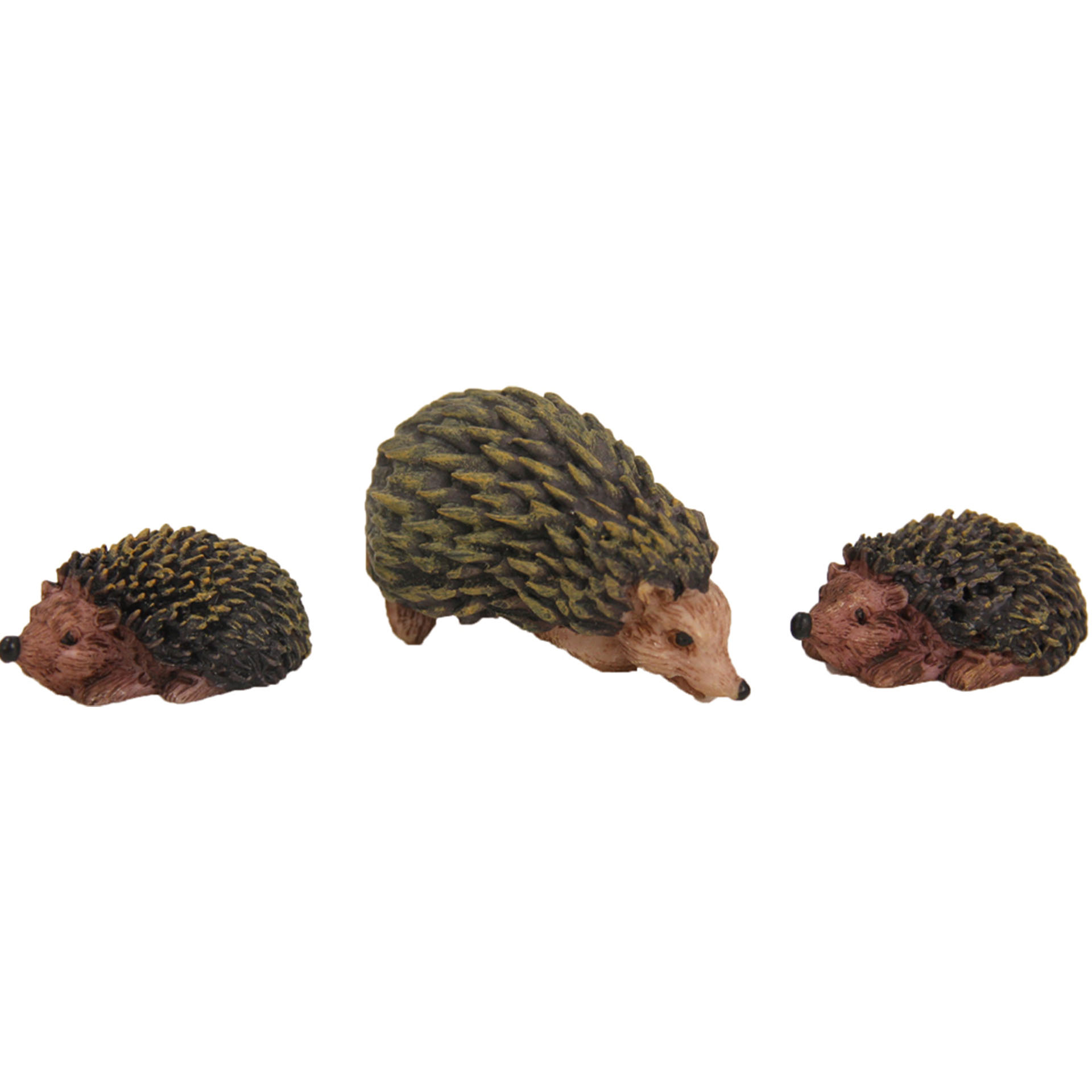 Tier, Igel, Säugetier