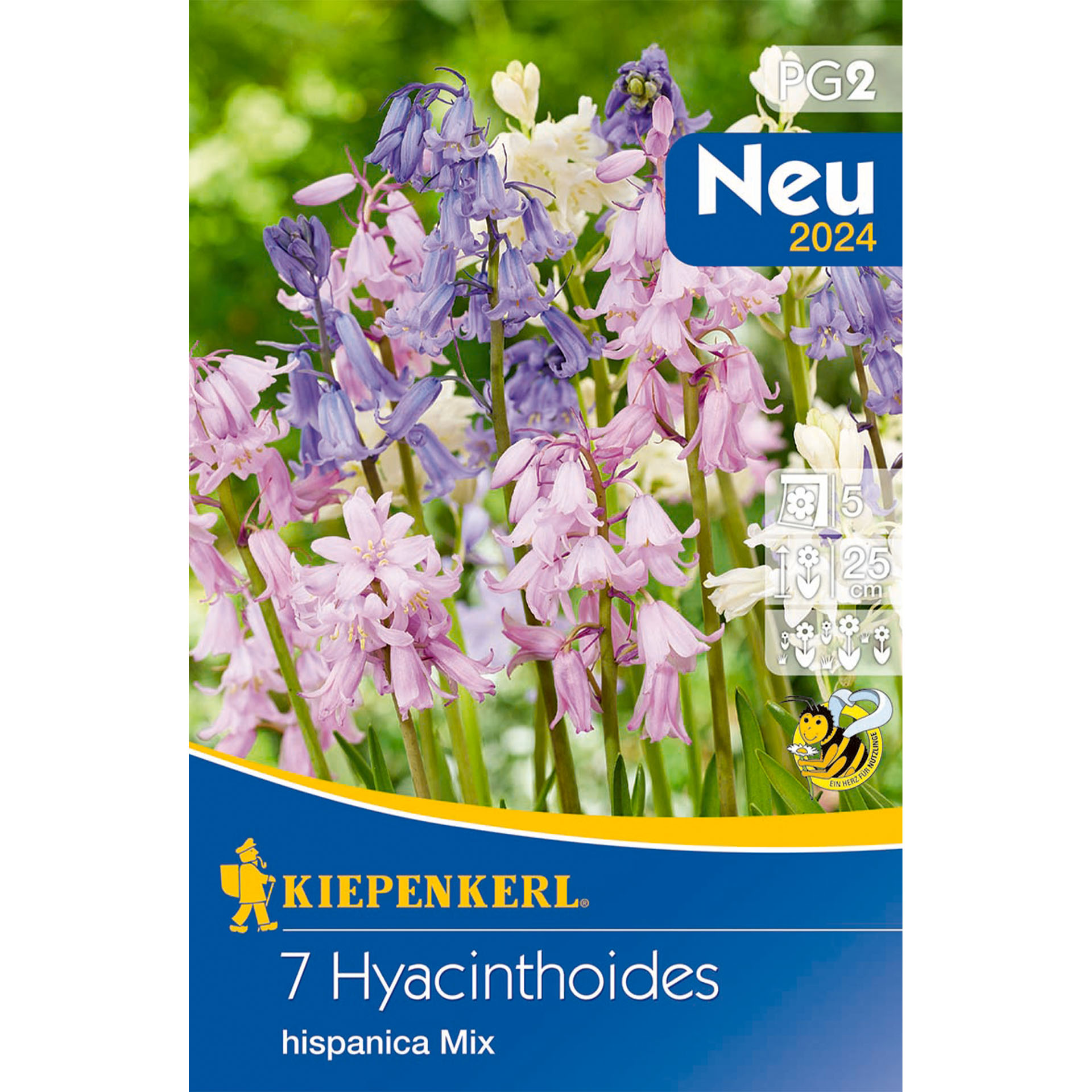 Hasenglöckchen 'Hispanica Mix', Blumenzwiebeln Hasenglöckchen 'Hispanica Mix', Blumenzwiebeln