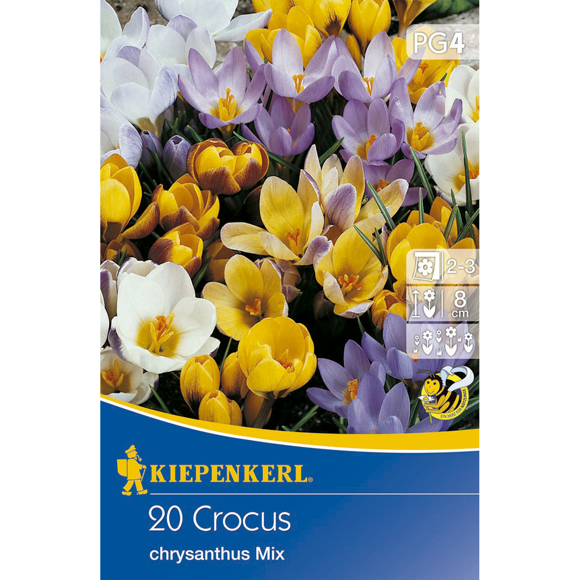Krokus Mischung Blumenzwiebel Krokus Mischung Blumenzwiebeln pflanzen im Herbst