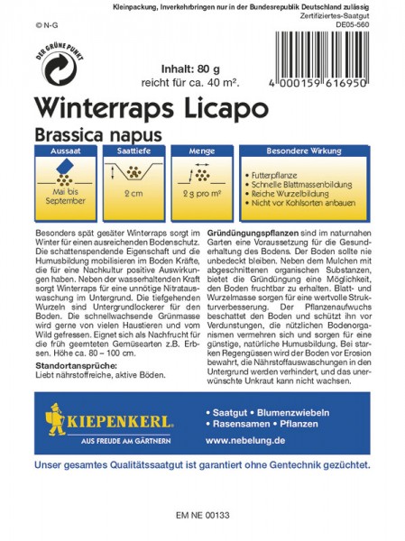 Winterraps