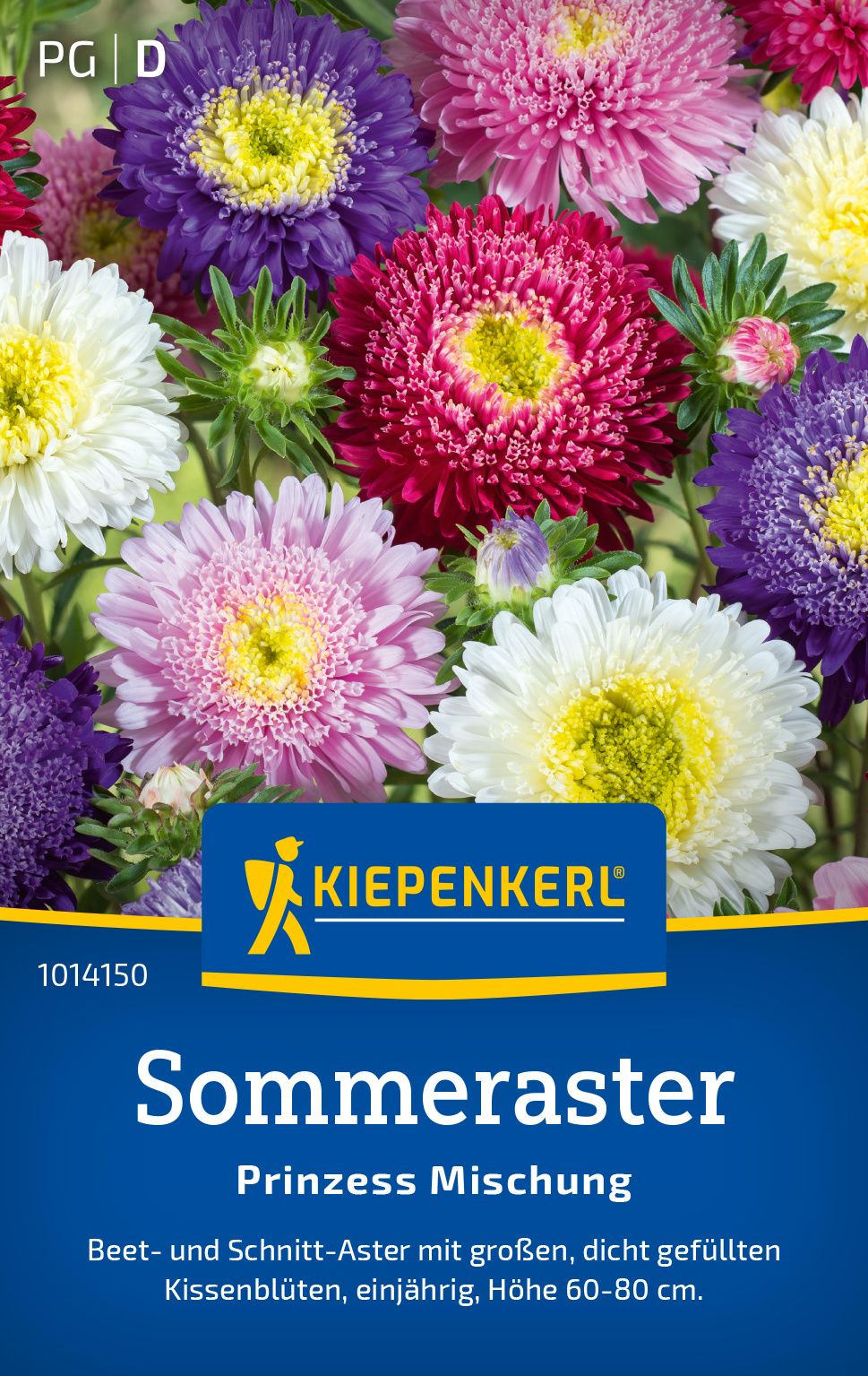 Sommeraster Prinzess Mischung Werbung, Plakat, Gänseblümchen, Blume, Dahlie