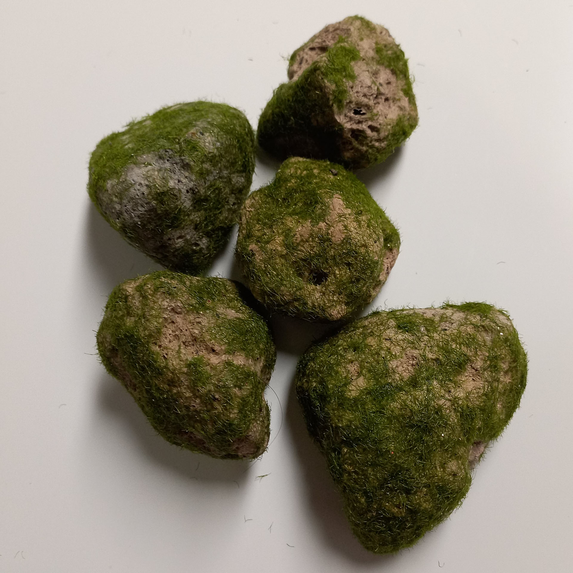 Steine bemoost groß, 100g