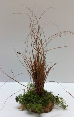 Gras 15 cm zur Gestaltung Ihrer Krippenlandschaft