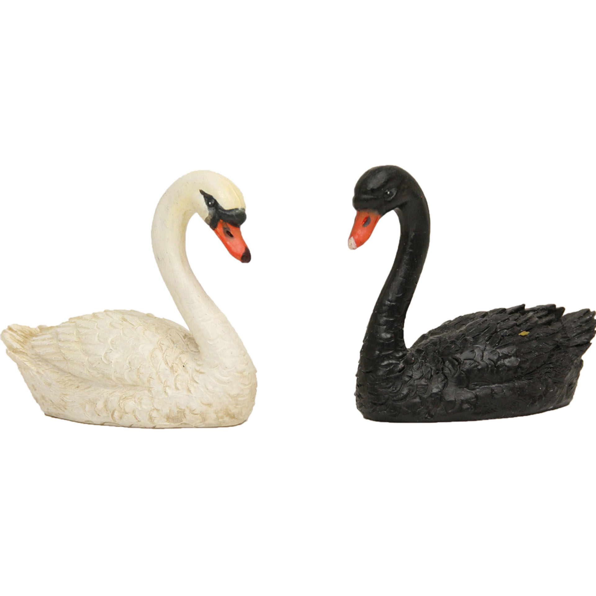 Tier, Vogel, Schwan, Wasservögel