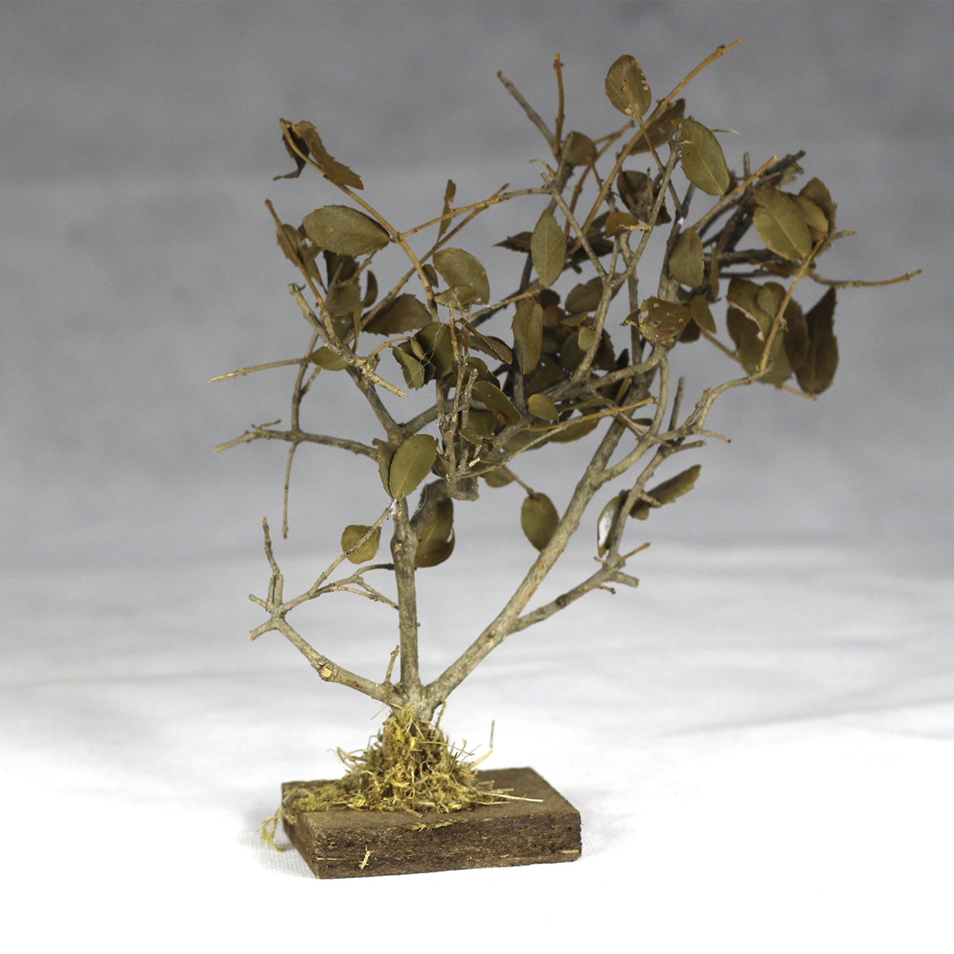 Bäumchen mit Blättern auf kleiner Bodenplatte, 15-20cm als Krippenbotanik für eine lebendige Krippenlandschaft, Blume, Blumen-Arrangement, Pflanze, Bronze, Ikebana