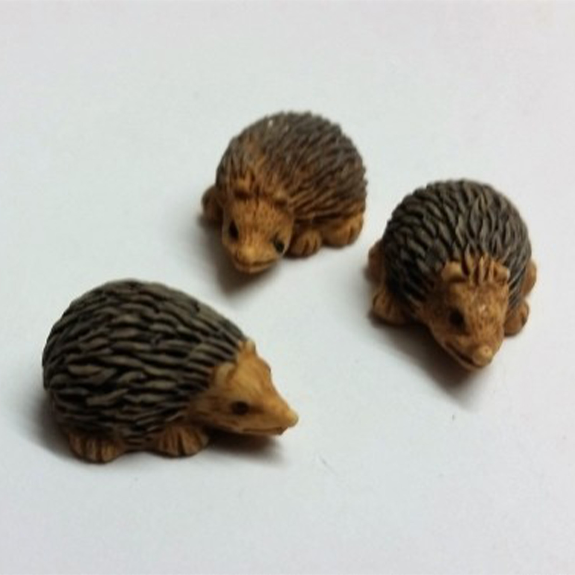 Igel Set, Tier, Igel, Säugetier, Ratte, Nagetier
