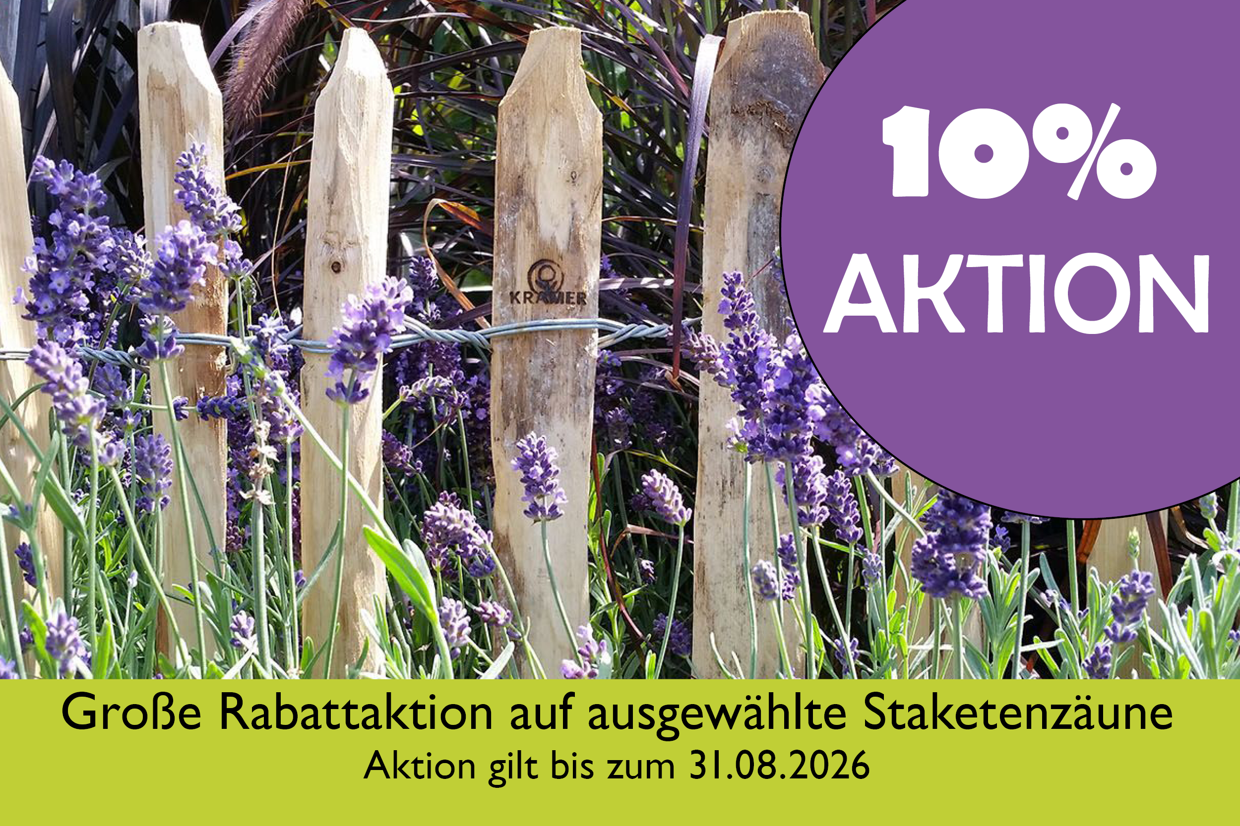 Lavender, Lavendelbeet, Holzzaun, Zierpflanze, Stäbe-Zaun, lavendel, zaun, garten, pflanzen, anzeige