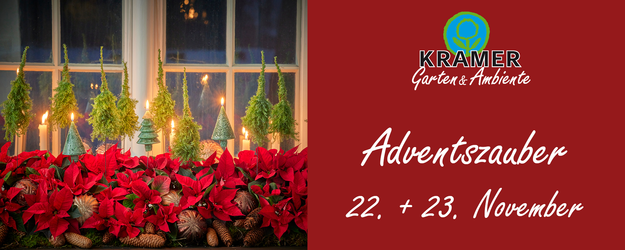 Pflanze, Pflanze im Topf, Krug, Pflanzgefäß, Garten, Krug, Pflanzgefäß, Topfpflanze, Töpferei, Vase, Blatt, Pflanze, Blume, Blumen-Arrangement, Blütenblatt