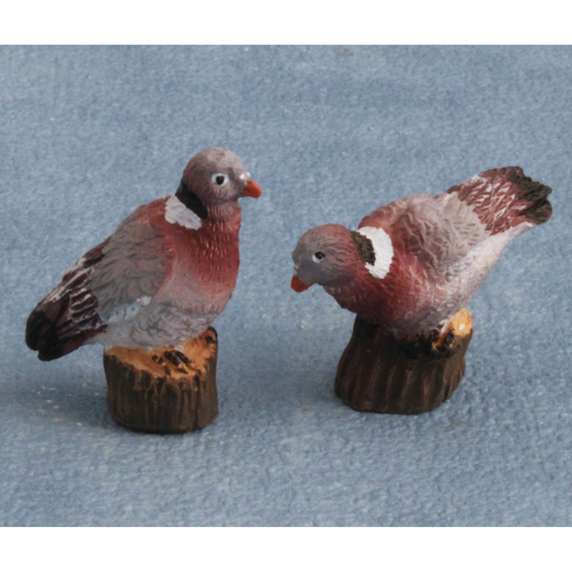 Tauben Tier, Vogel, Hühnchen, Geflügel