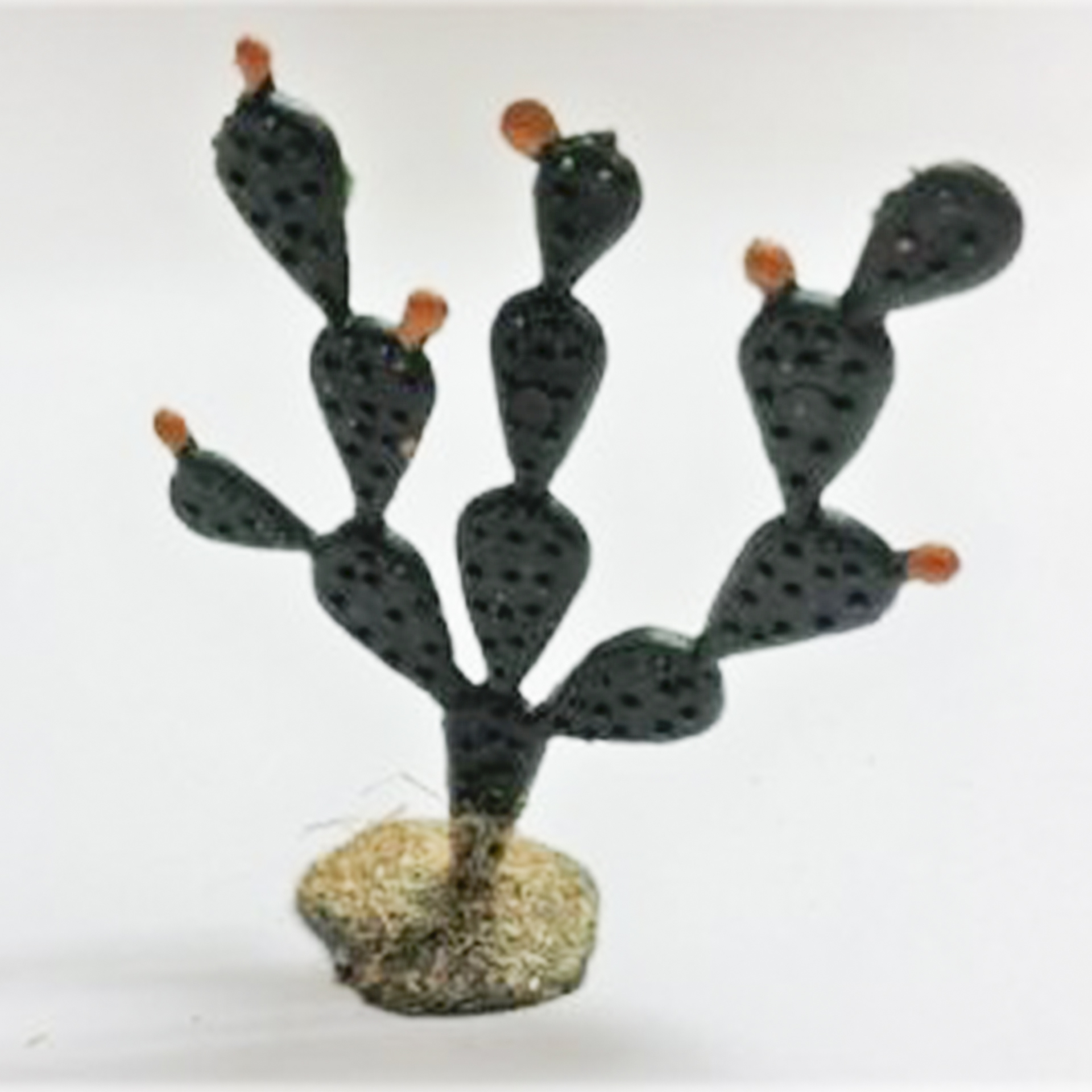 Kaktus einfach zur Gestaltung Ihrer Krippenlandschaft