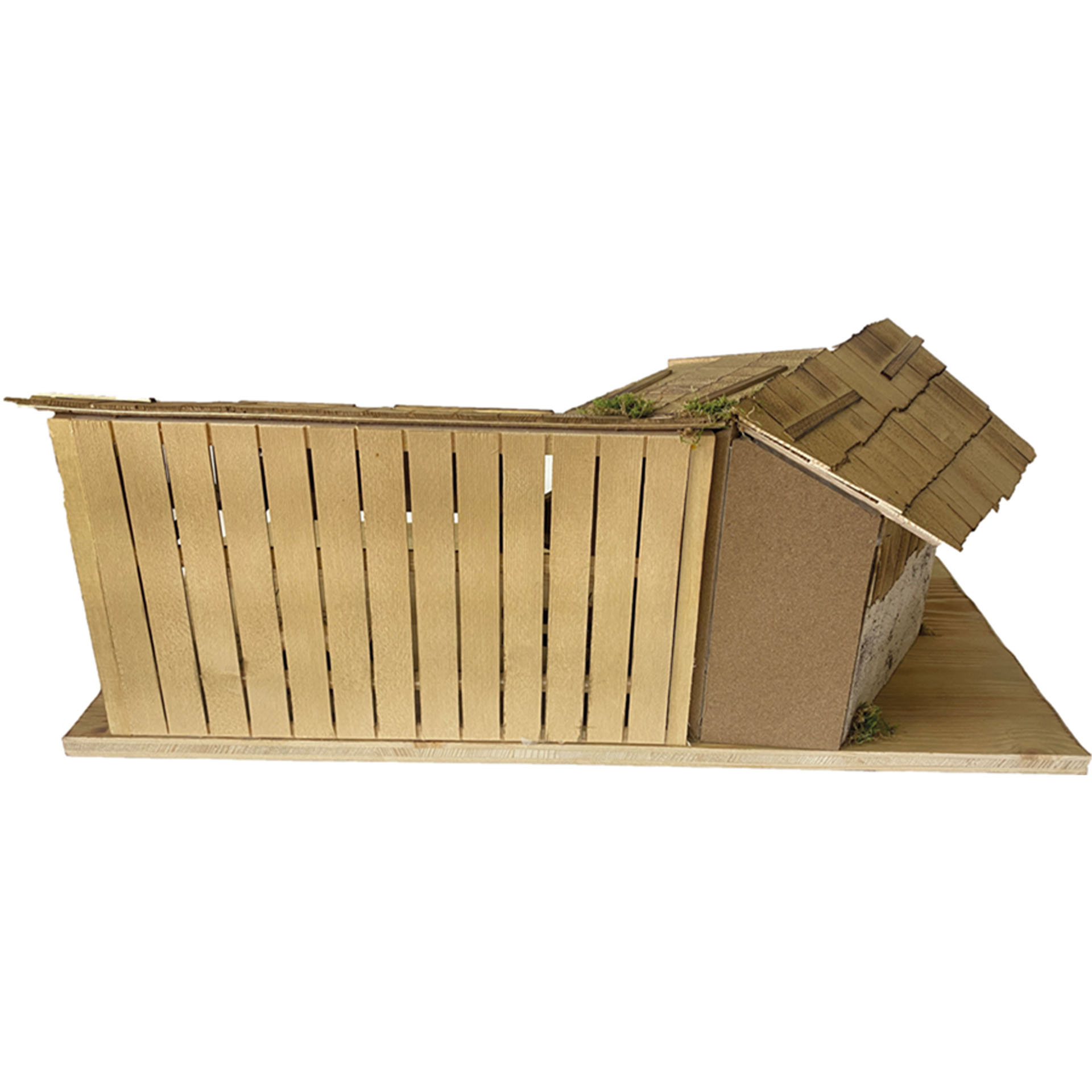 Kiste, Holz, Pflanze, Pflanze im Topf