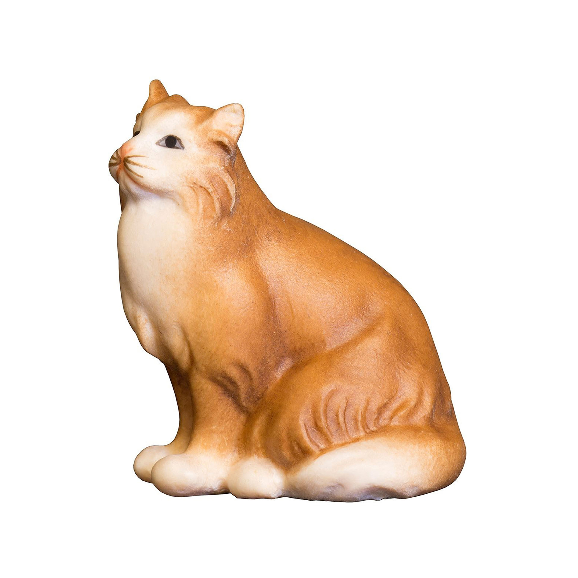 sitzende Katze mit rötlichem Fell